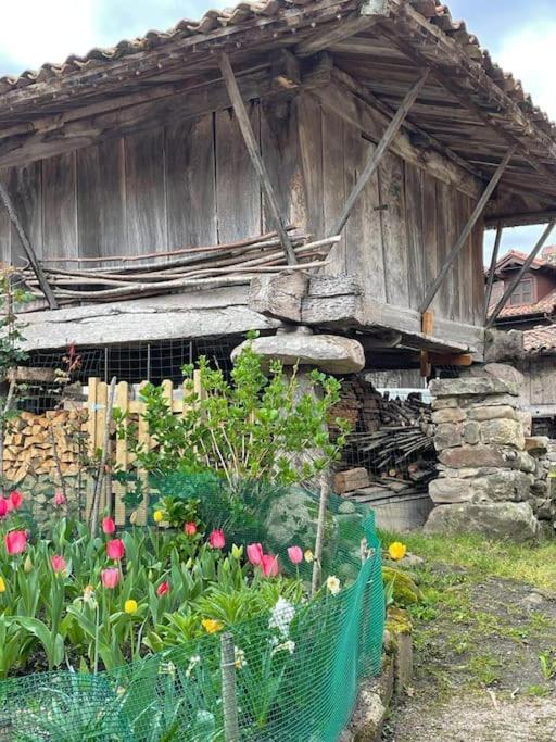 La Casita De Olivia Espinaredo Chalet