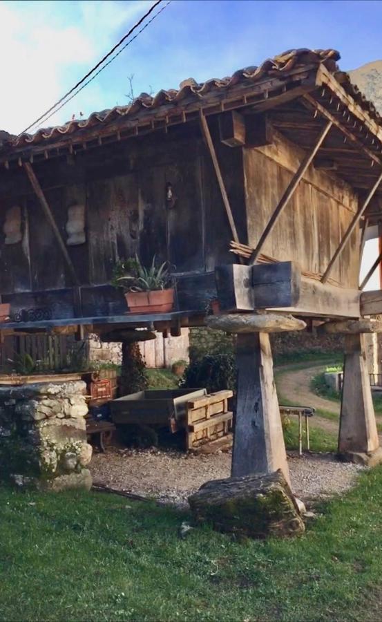 La Casita De Olivia Espinaredo Chalet *