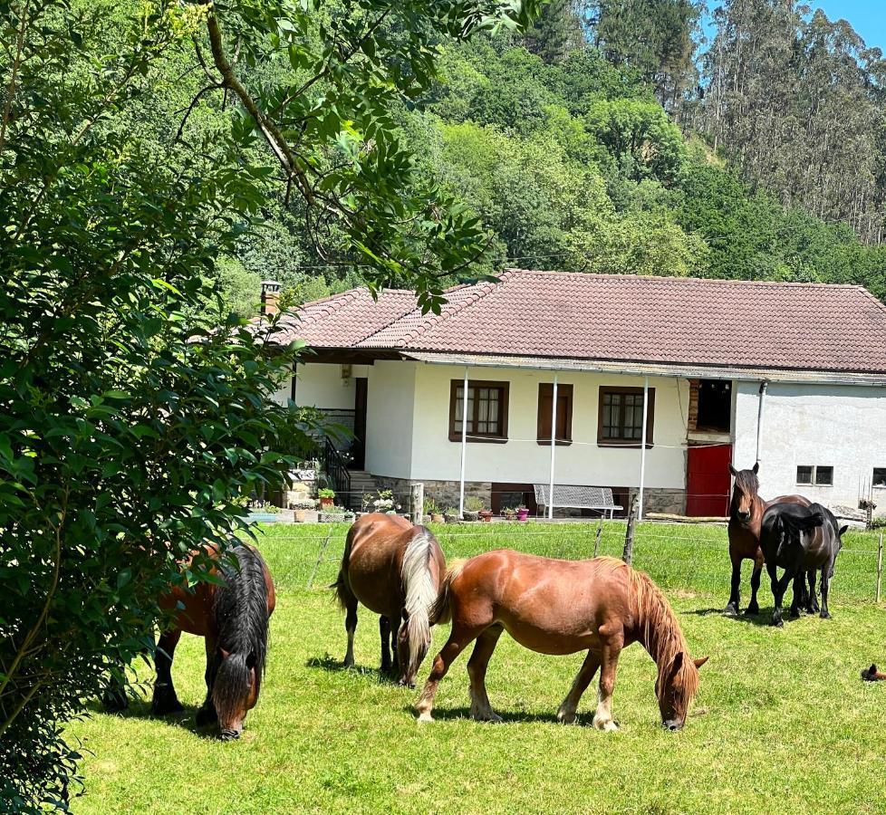 La Casita De Olivia Espinaredo *