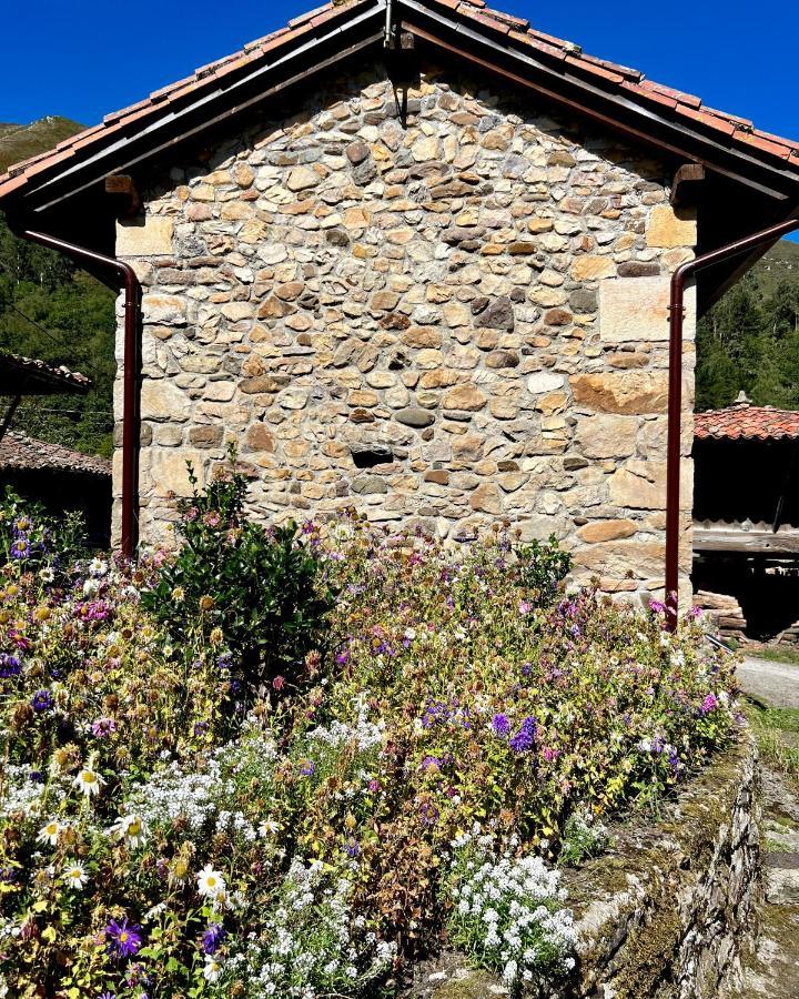 La Casita De Olivia Espinaredo